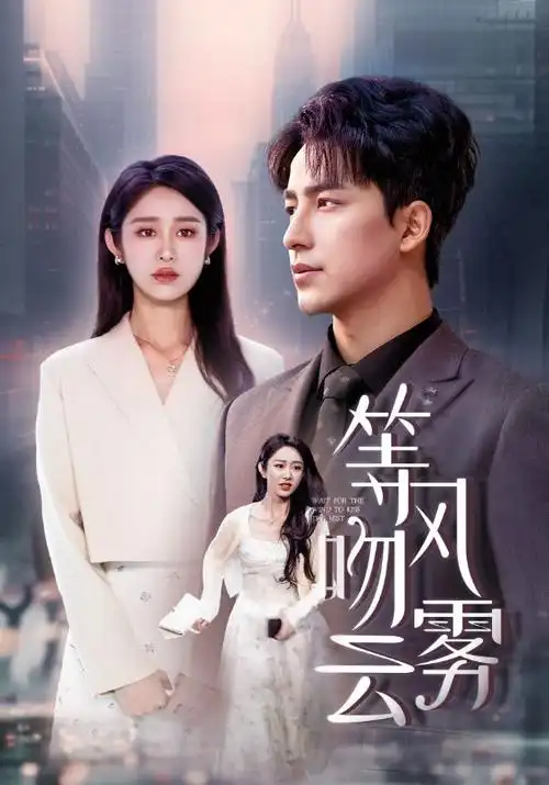 迷雾档案 热播电视剧全集